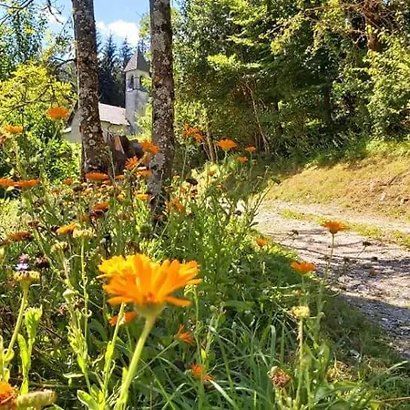 Borgo Damos * Valle di Cadore