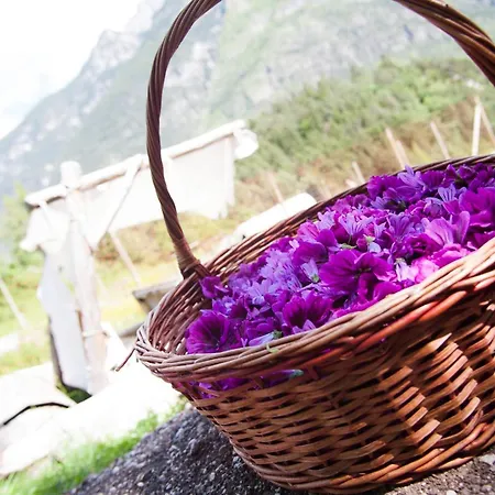 Borgo Damos Valle di Cadore