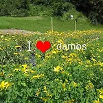 Borgo Damos Valle di Cadore