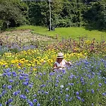 Borgo Damos Agroturismo