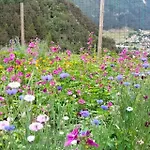 Agroturismo Borgo Damos