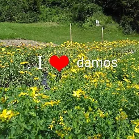 Borgo Damos ヴァッレ・ディ・カドーレ