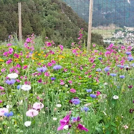 Alloggio per agriturismo Borgo Damos